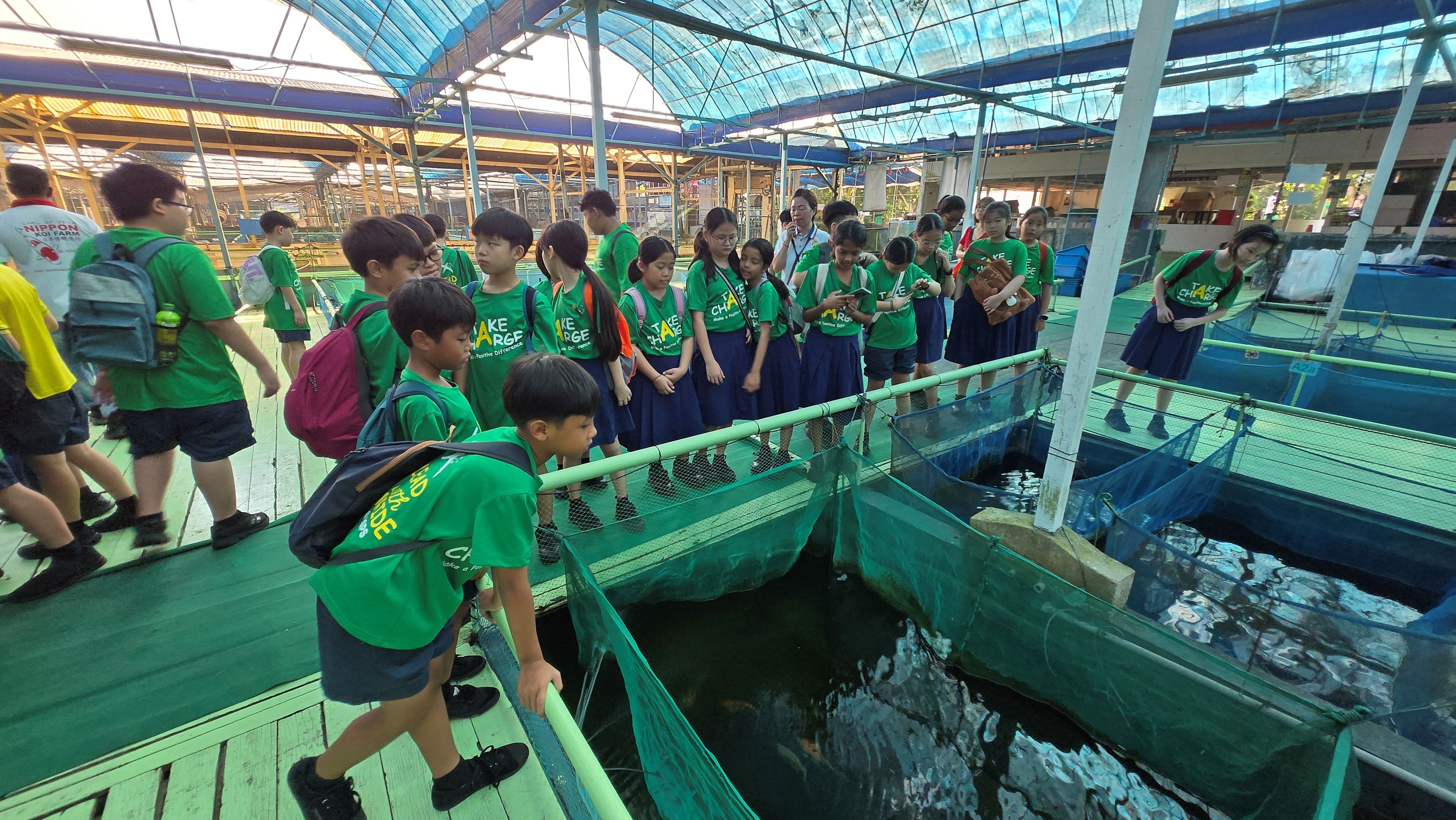 Students standing around massive fish tanks to see observing how fishes are kept